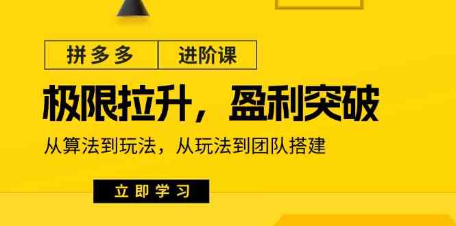 拼多多进阶课：极限拉升/盈利突破：从算法到玩法 从玩法到团队搭建（18节）-蓝天项目网