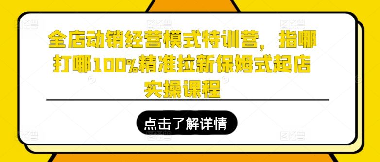 全店动销经营模式特训营，指哪打哪100%精准拉新保姆式起店实操课程-蓝天项目网