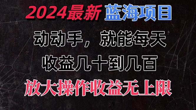 （11470期）有手就行的2024全新蓝海项目，每天1小时收益几十到几百，可放大操作收…-蓝天项目网