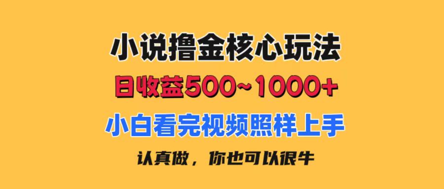 （11461期）小说撸金核心玩法，日收益500-1000+，小白看完照样上手，0成本有手就行-蓝天项目网