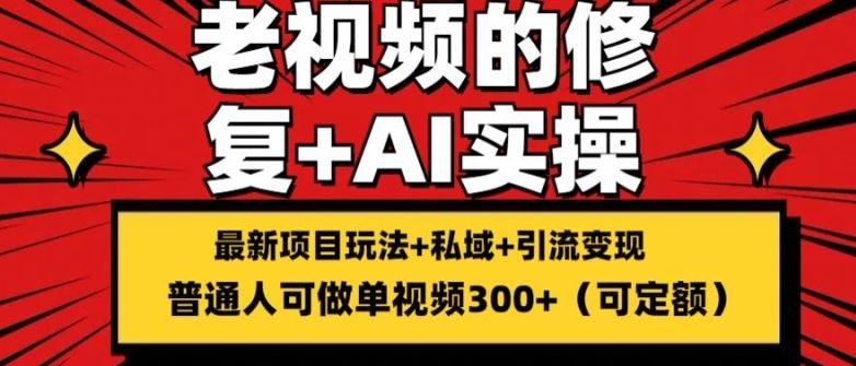 修复老视频的玩法，搬砖+引流的变现(可持久)，单条收益300+【揭秘】-蓝天项目网