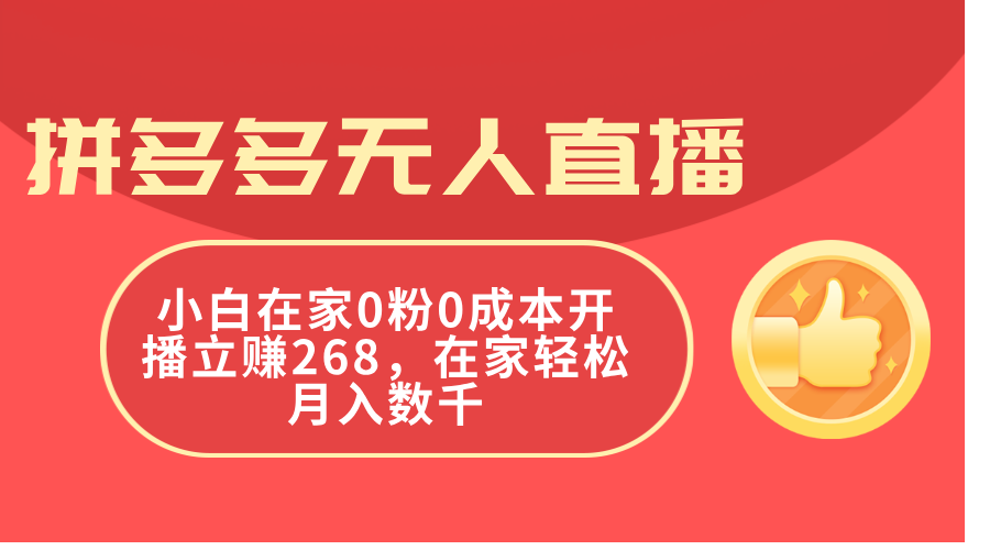 （11521期）拼多多无人直播，小白在家0粉0成本开播立赚268，在家轻松月入数千-蓝天项目网