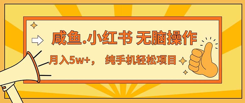 （11524期）2024最赚钱的项目，咸鱼，小红书无脑操作，每单利润500+，轻松月入5万+…-蓝天项目网