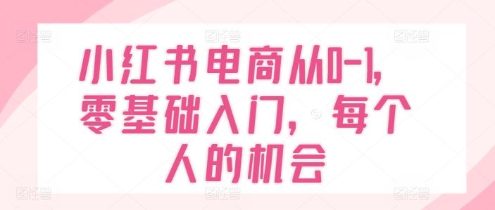 小红书电商从0-1，零基础入门，每个人的机会-蓝天项目网