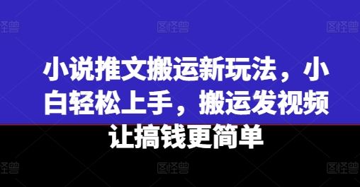 小说推文搬运新玩法，小白轻松上手，搬运发视频让搞钱更简单-蓝天项目网