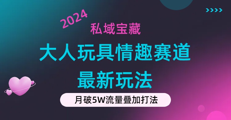 （11541期）私域宝藏：大人玩具情趣赛道合规新玩法，零投入，私域超高流量成单率高-蓝天项目网