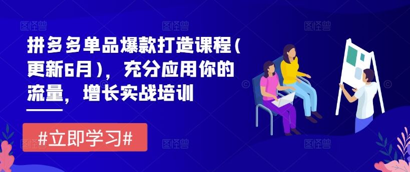 拼多多单品爆款打造课程(更新6月)，充分应用你的流量，增长实战培训-蓝天项目网