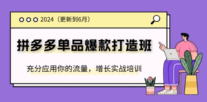 （11556期）2024拼多多-单品爆款打造班(更新6月)，充分应用你的流量，增长实战培训-蓝天项目网