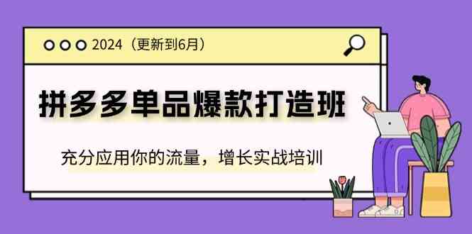 2024拼多多单品爆款打造班，充分应用你的流量，增长实战培训(更新6月)-蓝天项目网