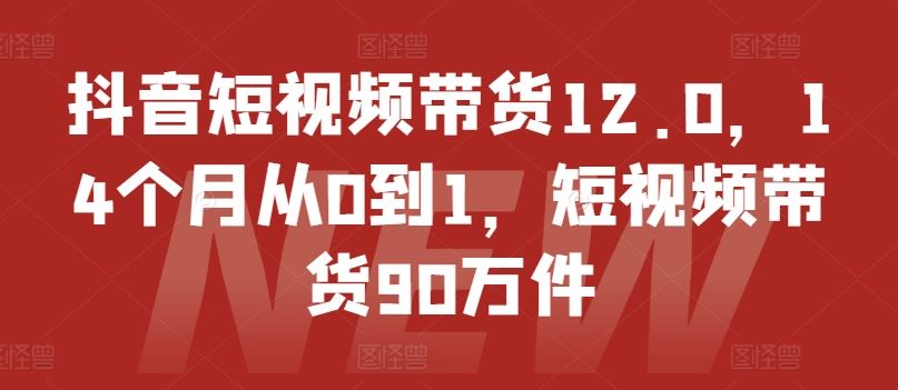 抖音短视频带货12.0，14个月从0到1，短视频带货90万件-蓝天项目网