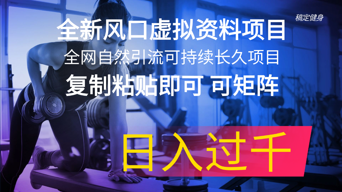 （11587期）全新风口虚拟资料项目 全网自然引流可持续长久项目 复制粘贴即可可矩阵…-蓝天项目网