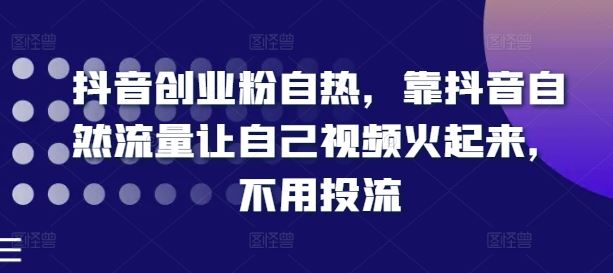 抖音创业粉自热，靠抖音自然流量让自己视频火起来，不用投流-蓝天项目网