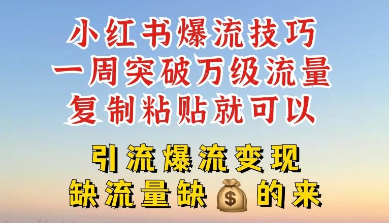 小红书爆流技巧，一周突破万级流量，复制粘贴就可以，引流爆流变现【揭秘】-蓝天项目网