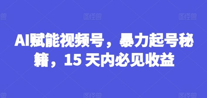 AI赋能视频号，暴力起号秘籍，15 天内必见收益【揭秘】-蓝天项目网