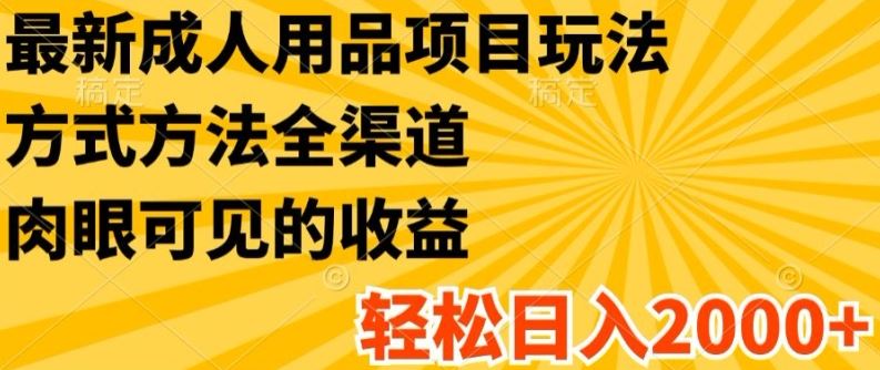 最新成人用品项目玩法，方式方法全渠道，轻松日入2K+【揭秘】-蓝天项目网