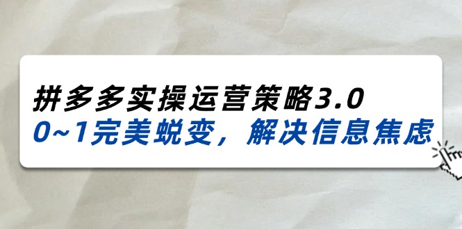 （11658期）2024_2025拼多多实操运营策略3.0，0~1完美蜕变，解决信息焦虑（38节）-蓝天项目网