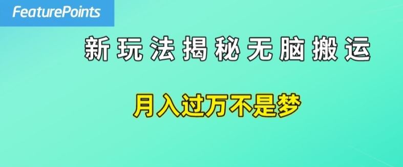 简单操作，每天50美元收入，搬运就是赚钱的秘诀【揭秘】-蓝天项目网