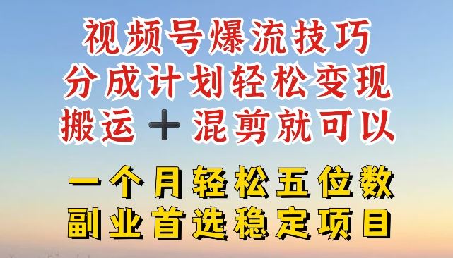 视频号爆流技巧，分成计划轻松变现，搬运 +混剪就可以，一个月轻松五位数稳定项目【揭秘】-蓝天项目网