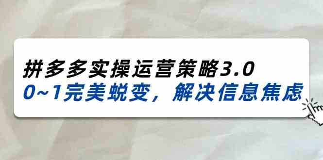 2024-2025拼多多实操运营策略3.0，0~1完美蜕变，解决信息焦虑（38节）-蓝天项目网