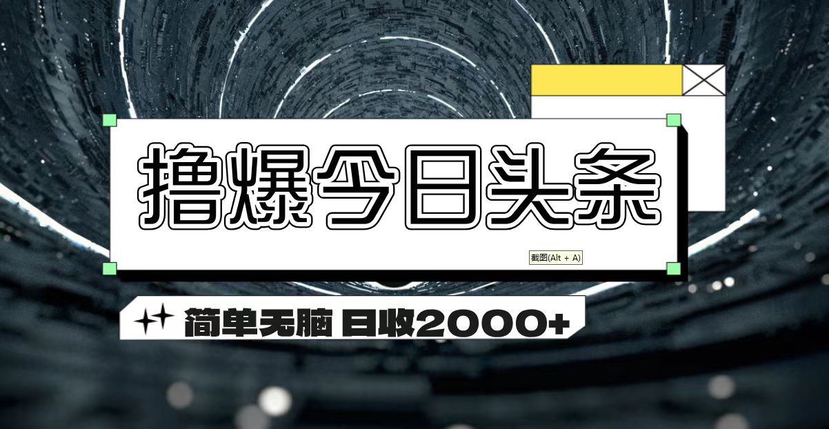 （11665期）撸爆今日头条 简单无脑操作 日收2000+-蓝天项目网