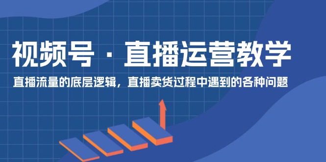 （11687期）视频号 直播运营教学：直播流量的底层逻辑，直播卖货过程中遇到的各种问题-蓝天项目网