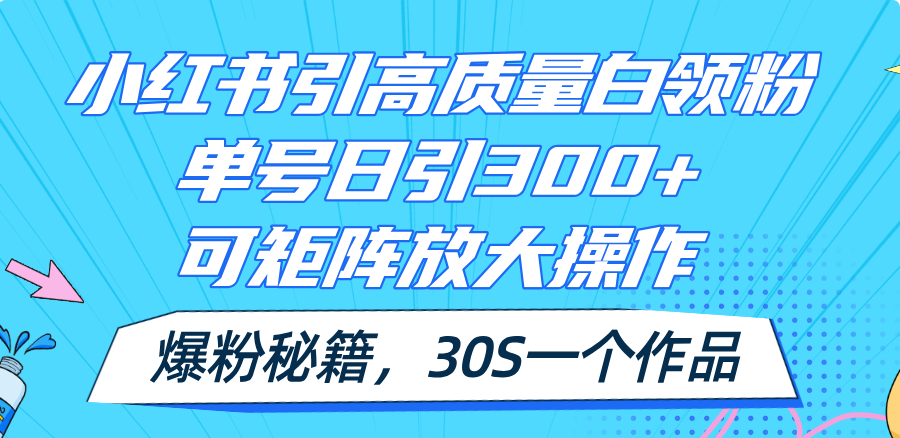 （11692期）小红书引高质量白领粉，单号日引300+，可放大操作，爆粉秘籍！30s一个作品-蓝天项目网