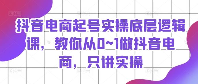 抖音电商起号实操底层逻辑课，教你从0~1做抖音电商，只讲实操-蓝天项目网