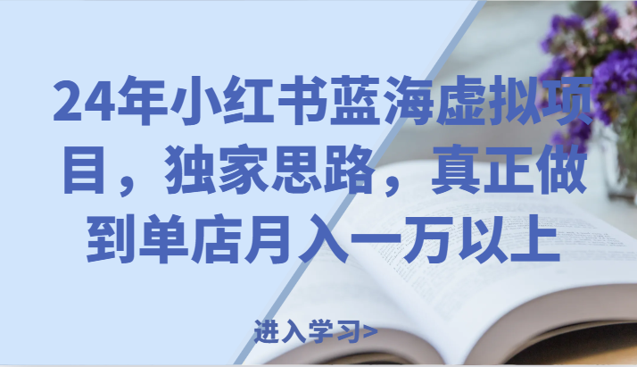 24年小红书蓝海虚拟项目，独家思路，真正做到单店月入一万以上。-蓝天项目网