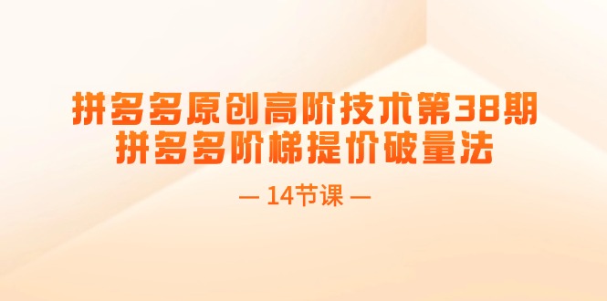 （11704期）拼多多原创高阶技术第38期，拼多多阶梯提价破量法（14节课）-蓝天项目网