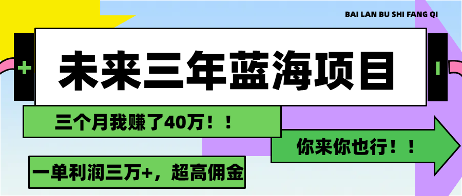 （11716期）未来三年，蓝海赛道，月入3万+-蓝天项目网