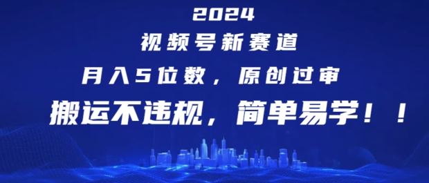 2024视频号新赛道，月入5位数+，原创过审，搬运不违规，简单易学【揭秘】-蓝天项目网