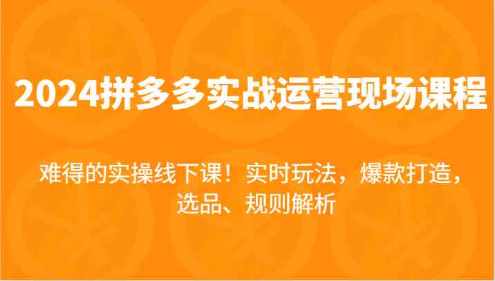 2024拼多多实战运营现场课，实时玩法，爆款打造，选品、规则解析，难得的实操线下课！-蓝天项目网