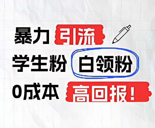 暴力引流学生粉白领粉，吊打以往垃圾玩法，0成本，高回报-蓝天项目网