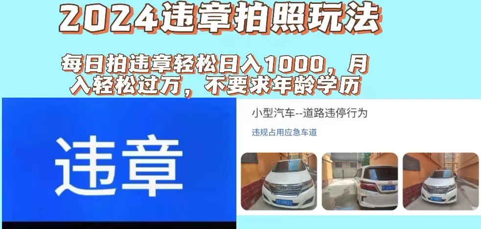 （11743期）2024违章拍照新玩法，推广躺赚+拍照赚钱双模式，日入1000+-蓝天项目网