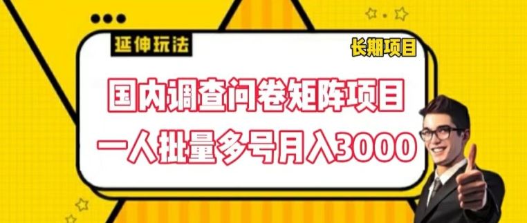 国内调查问卷矩阵项目，一人批量多号月入3000【揭秘】-蓝天项目网