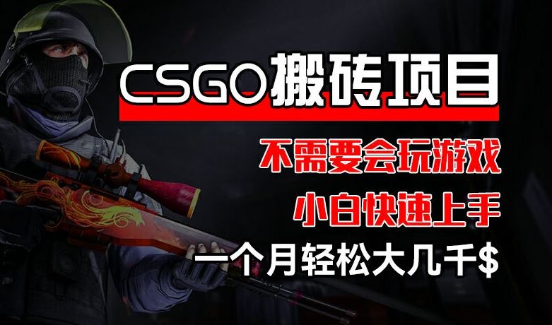 CSGO 装备搬砖项目，操作简单，不需要会玩游戏，小白也能快速上手，一个月轻松大几千【揭秘】-蓝天项目网