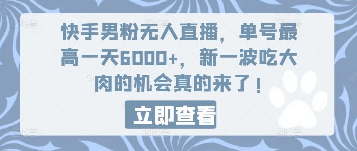 快手男粉无人直播，单号最高一天6000+，新一波吃大肉的机会真的来了-蓝天项目网