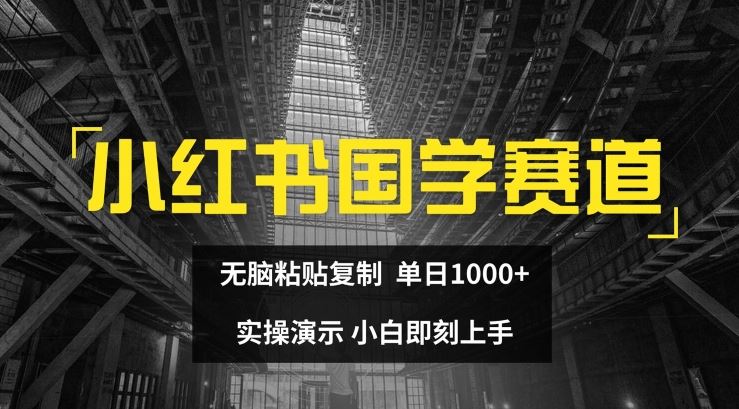 小红书国学赛道，无脑粘贴复制，单日1K，实操演示，小白即刻上手【揭秘】-蓝天项目网