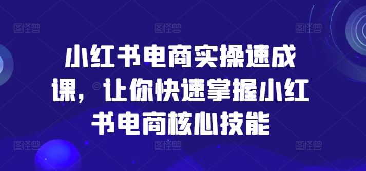 小红书电商实操速成课，让你快速掌握小红书电商核心技能-蓝天项目网