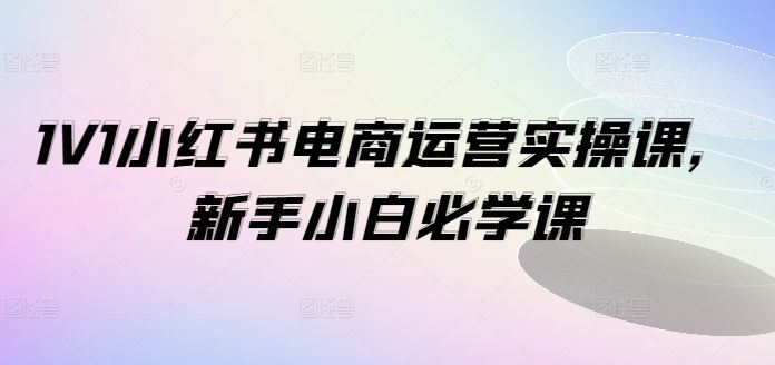 1V1小红书电商运营实操课，新手小白必学课-蓝天项目网