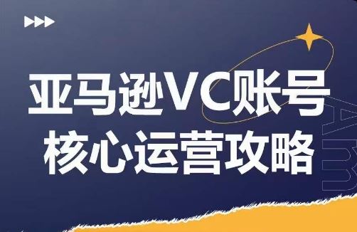 亚马逊VC账号核心玩法解析，实战经验拆解产品模块运营技巧，提升店铺GMV，有效提升运营利润-蓝天项目网