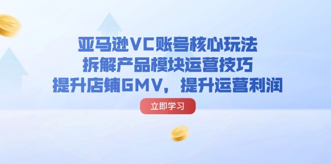 （11848期）亚马逊VC账号核心玩法，拆解产品模块运营技巧，提升店铺GMV，提升运营利润-蓝天项目网