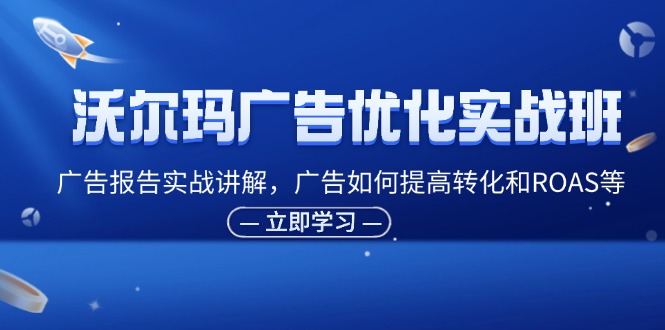 （11847期）沃尔玛广告优化实战班，广告报告实战讲解，广告如何提高转化和ROAS等-蓝天项目网