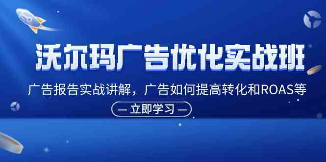 沃尔玛广告优化实战班，广告报告实战讲解，广告如何提高转化和ROAS等-蓝天项目网