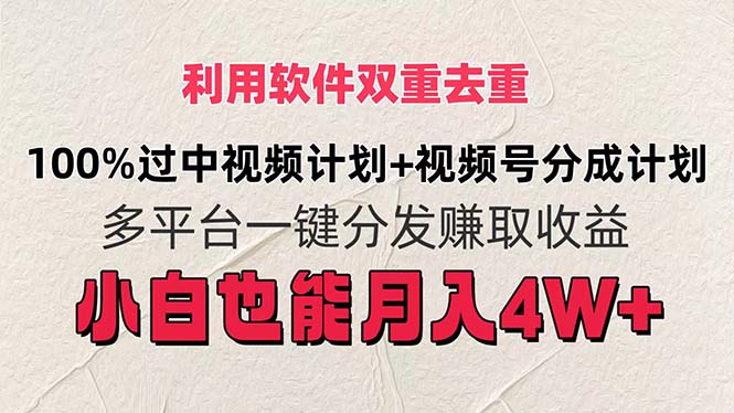 （11862期）利用软件双重去重，100%过中视频+视频号分成计划小白也可以月入4W+-蓝天项目网