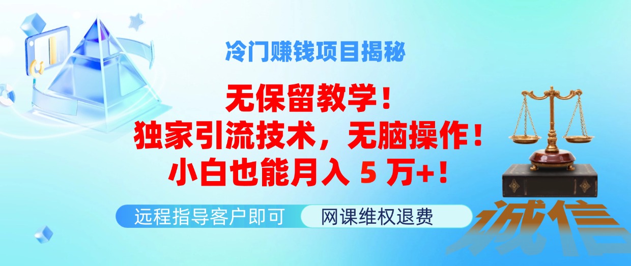 （11864期）冷门赚钱项目无保留教学！独家引流技术，无脑操作！小白也能月入5万+！-蓝天项目网