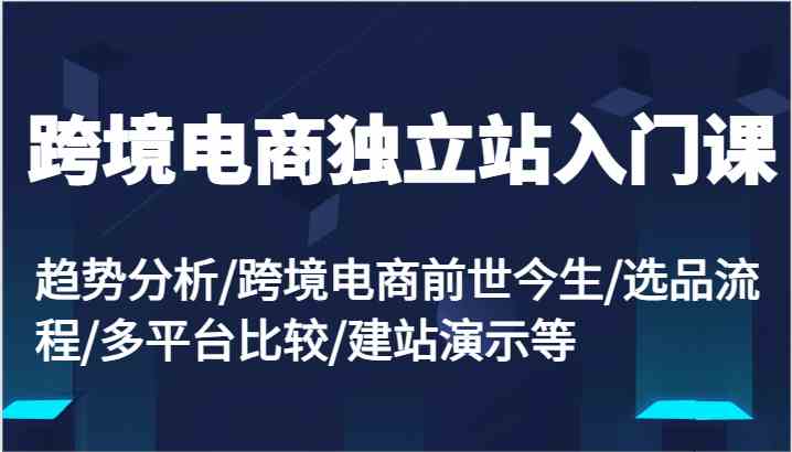 跨境电商独立站入门课：趋势分析/跨境电商前世今生/选品流程/多平台比较/建站演示等-蓝天项目网