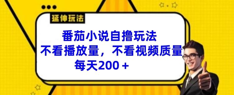 番茄小说自撸玩法，不看播放量，不看视频质量，每天200+【揭秘】-蓝天项目网