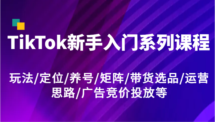 TikTok新手入门系列课程，玩法/定位/养号/矩阵/带货选品/运营思路/广告竞价投放等-蓝天项目网