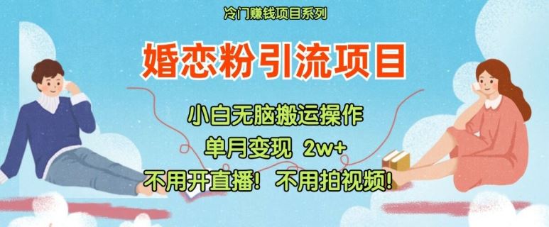 小红书婚恋粉引流，不用开直播，不用拍视频，不用做交付【揭秘】-蓝天项目网